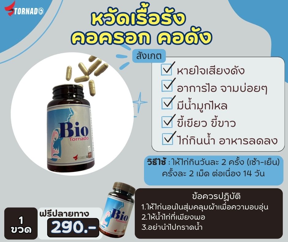 หวัด คอครอก คอดัง 