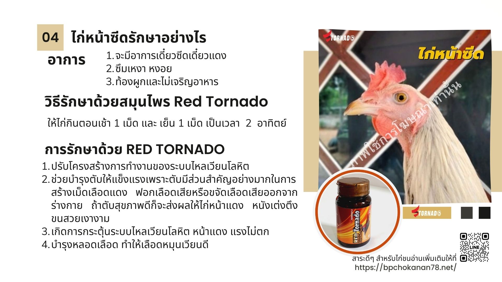 ไก่หน้าซีด อาการเป็นอย่างไร รักษาด้วยวิธิไหน??