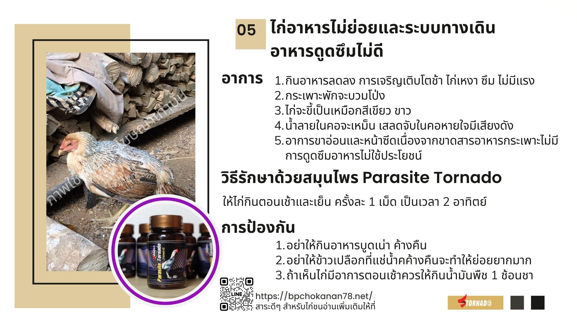 ไก่อาหารไม่ย่อยระบบทางเดินอาหารดูดซึมไม่ดี ทำอย่างไร??