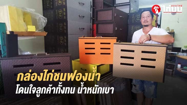 			         	หนุ่มบุรีรัมย์ไอเดียเจ๋ง! ผลิต “กล่องไก่ชนฟองน้ำ” หลากสีสันขายเจ้าแรก		
			         