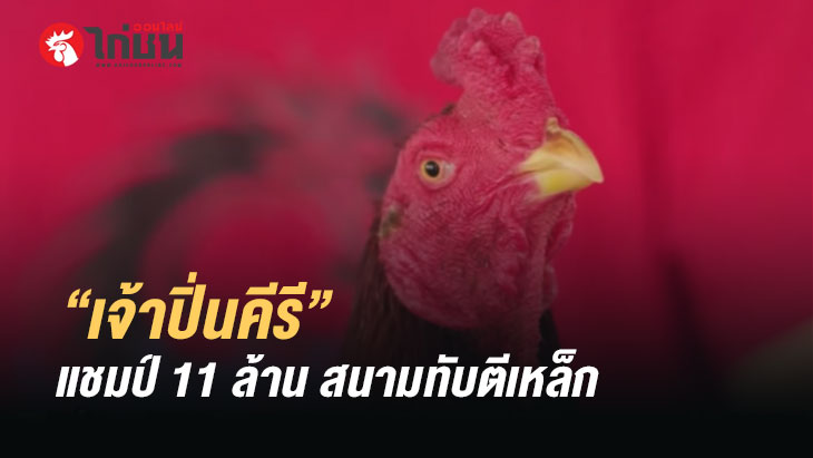 “เจ้าปิ่นคีรี” แชมป์ 11 ล้าน สนามทับตีเหล็ก