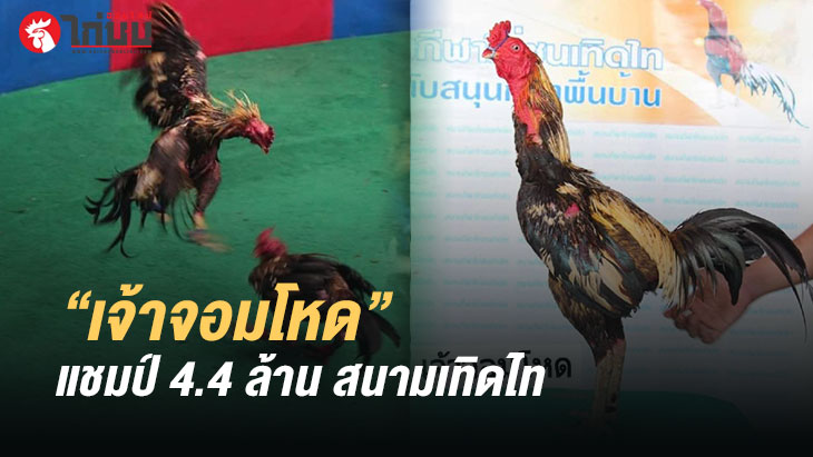 เจ้าจอมโหด ค่าตัว 2.9 ล้าน  แชมป์ 4,400,000 บาท สนามกีฬาไก่ชนเทิดไท